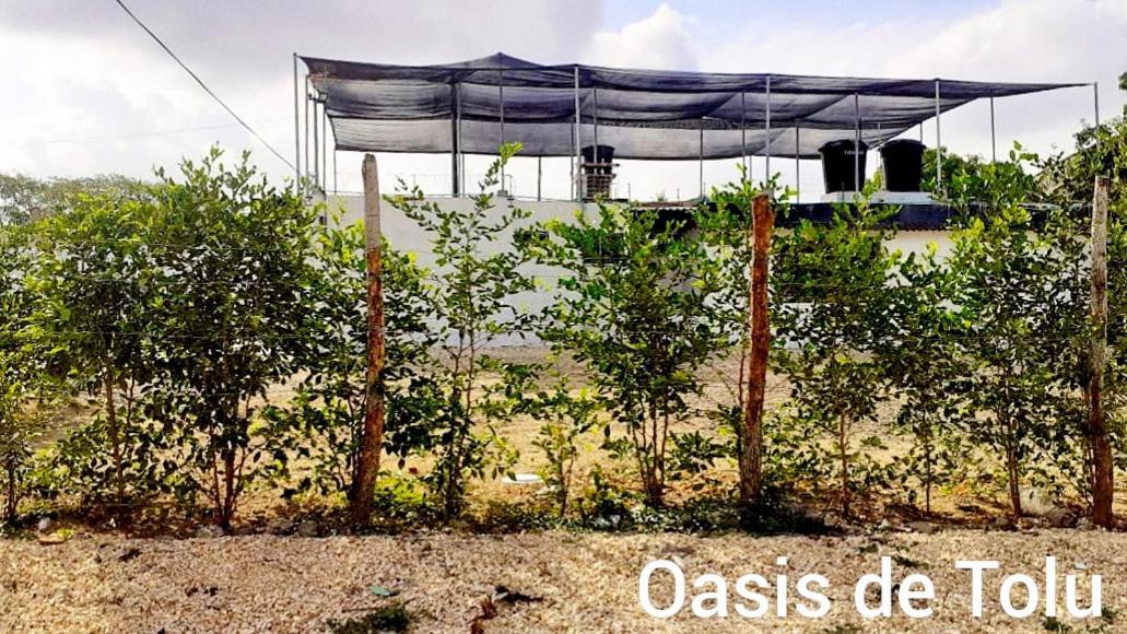 Oasis De Tolu Hotel ภายนอก รูปภาพ